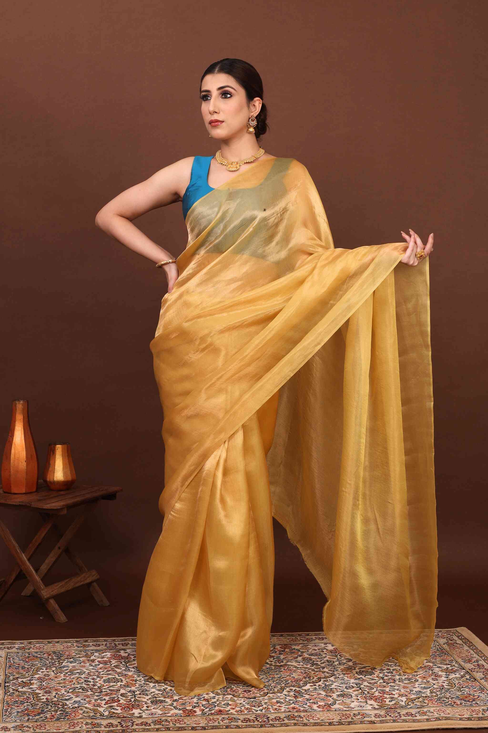 In front view model elegantly posing in banarasi tissue saree in the brown background