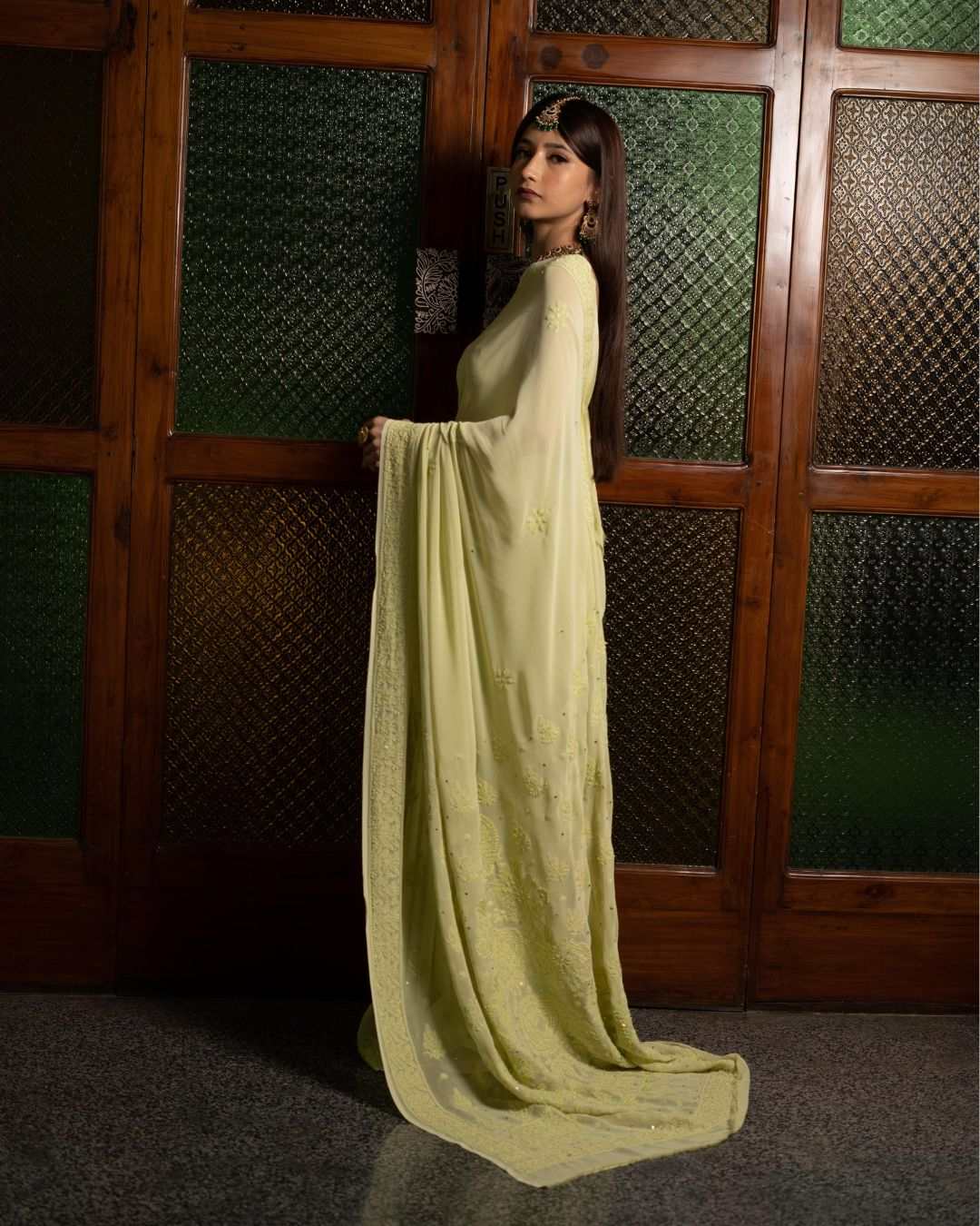 Chikankari Saree - Nargis - Elegant Georgette