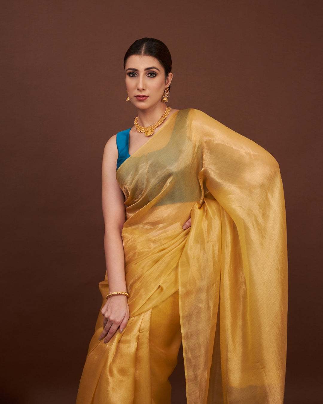 Banarasi Tissue Saree - Regal Gold